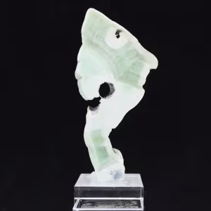 Authentic polished Green Aragonite stone slice