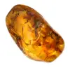 Yellow Amber Pebble for Decoration and Scientific Specimen - 0