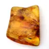 Baltic Amber Fossil Resin – Pebble for enthusiasts - 0