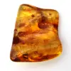 Baltic Amber Fossil Resin – Pebble for enthusiasts - 2