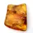 Baltic Amber Fossil Resin – Pebble for enthusiasts