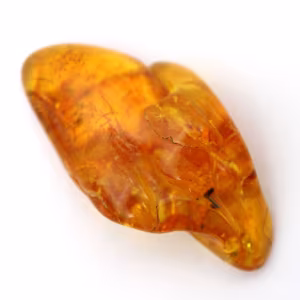 Yellow Amber Pebble, Natural Stone from Lithuania