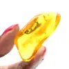 Fossil Yellow Amber from the Baltic – Authentic Pebble - 1