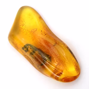 Fossil Yellow Amber from the Baltic – Authentic Pebble