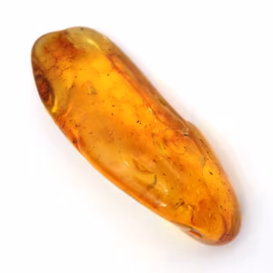 Yellow Amber Stone from Lithuania – Pebble for Aesthetics