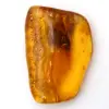 Baltic Amber – Mineralogy Pebble Item - 0