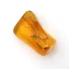 Mini Baltic Yellow Amber Pebble – Fossil for Decoration - 0