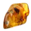 Polished Baltic Amber Pebble - Natural Collection Stone - 0