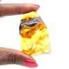 Authentic Polished Amber Pebble from Lithuania - Mineralogy Specimen - 1