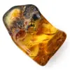 Authentic Polished Amber Pebble from Lithuania - Mineralogy Specimen - 2