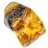Authentic Polished Amber Pebble from Lithuania - Mineralogy Specimen