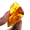 Polished Baltic Amber: Collector's Pebble Specimen - 1