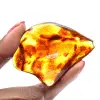 Polished Lithuanian Amber: Pebble for Fossil Collection - 1