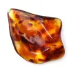 Polished Lithuanian Amber: Pebble for Fossil Collection - 0