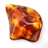 Polished Lithuanian Amber: Pebble for Fossil Collection - 2