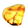 Small Polished Lithuanian Amber Pebble - Authenticity and Science - 0