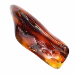 Polished Amber Pebble from Lithuania - Mineral Decorative Object