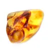 Polished Amber Pebble from Lithuania - Authentic Collector's Item - 0