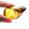 Small Polished Baltic Amber Pebble - Authenticity Guaranteed - 1