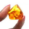 Small Specimen of Polished Amber Pebble - Authentic Lithuania - 1