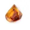 Small Specimen of Polished Amber Pebble - Authentic Lithuania - 2