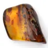 Large Polished Lithuanian Amber Pebble - Collector's Mineral - 0