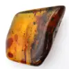 Large Polished Lithuanian Amber Pebble - Collector's Mineral - 2