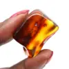 Polished Amber Pebble Specimen - Interior Decoration - 1