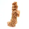 Authentic sand rose natural formation - 0