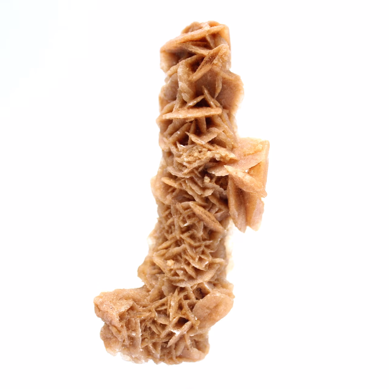 Authentic sand rose natural formation