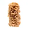 Fossil sand rose from Tunisia - 0