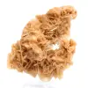 Tunisian Sand Rose - 0