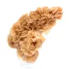Tunisian Sand Rose - 1