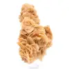 Tunisian Sand Rose - 2