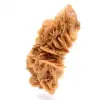 Decorative specimen of sand rose - 1