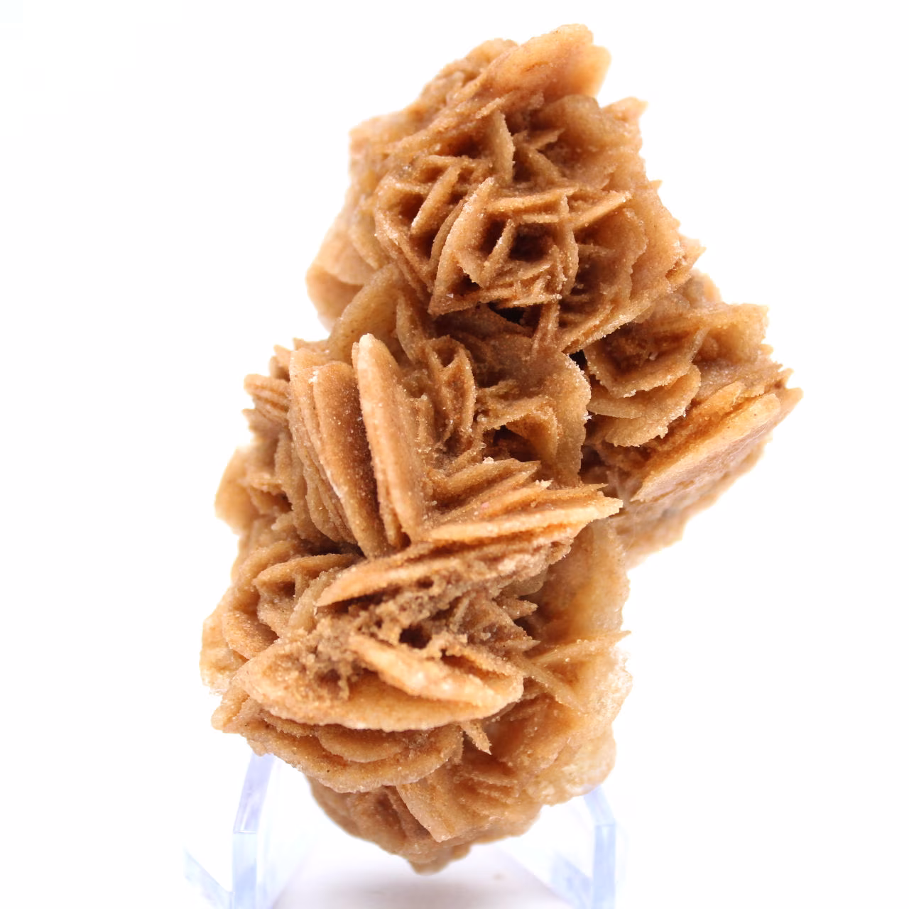 Natural sand rose from Tunisia
