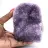 Amethyst Geode, Medium Size, Brazil – Crystal Brilliance