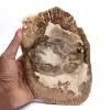 Petrified wood ornament, polished slice, collector's item, Madagascar - 0
