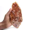 Polished petrified wood slice, small fossil ornament, Madagascar - 0