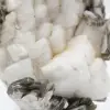 Small specimen of mica on white quartz - 7
