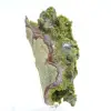 Moroccan epidote on clear matrix - 5