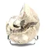 Polished Collectible Ammonite from Madagascar - Authentic Decorative Specimen - 1