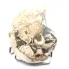 Polished Collectible Ammonite from Madagascar - Authentic Decorative Specimen - 3