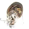 Polished Collectible Ammonite from Madagascar - Authentic Decorative Specimen - 4
