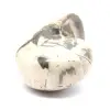 Ammonite Specimen from Madagascar - Polished Fossil for Collectors - 2