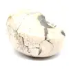 Ammonite Specimen from Madagascar - Polished Fossil for Collectors - 3