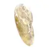 Polished Fossil Ammonite from Madagascar - Narrow and Slender Specimen - 3