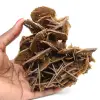 Crystallized brown barite from Morocco - 0