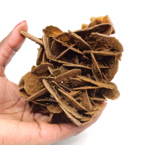 Mineralogical specimen of Barite from Morocco