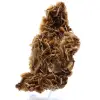 Moroccan barite coin with brown crystals - 2
